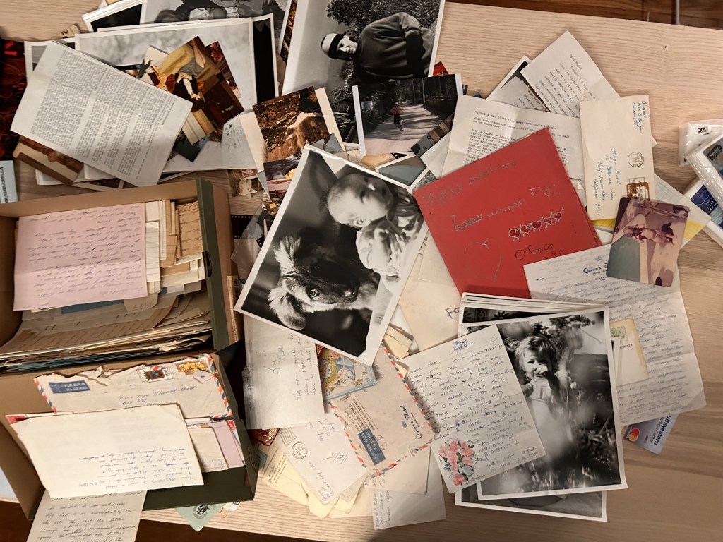 Amnesia: Albums Of Poloroid Pictures